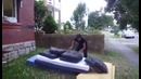 Провальный прыжок из окна