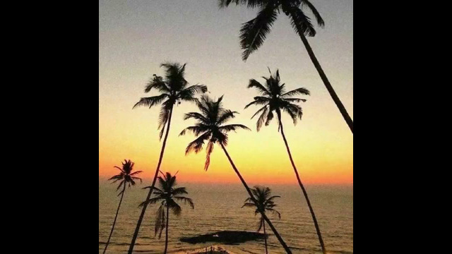 ARMORPHORUS – SUNBURN