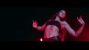 Ad Infinitum – Animals (Official Video 2021)
