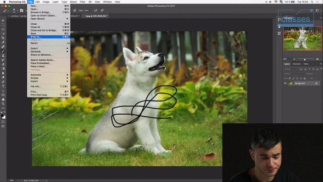 Photoshop