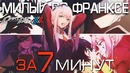 Милый во франксе за 7 минут