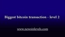 Biggest bitcoin transaction – level 2