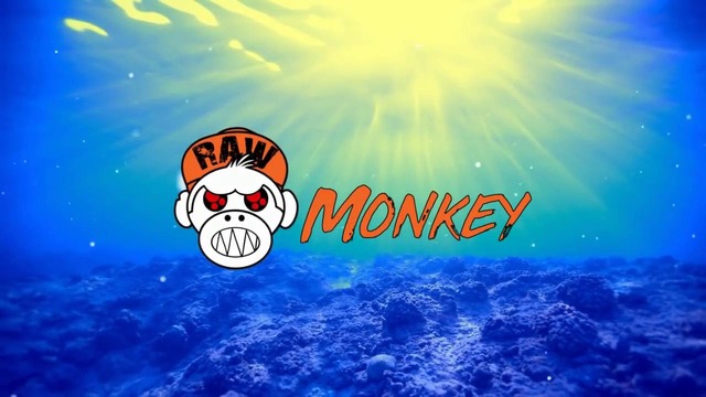 DATN – Acid in Lavandia