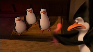 Обзор фильма «Пингвины из Мадагаскара»