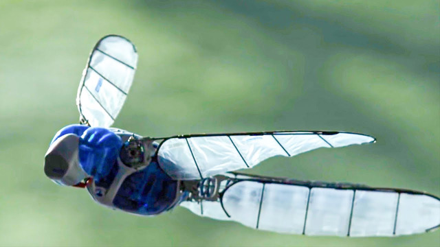 Incredible Robotic Dragonfly In Slow Motion | BBC Earth