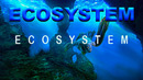 Ecosystem ∎ (KerneX)
