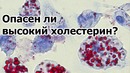 Высокий холестерин и болезни сердца (Mic. the Vegan)