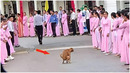 When the dog was a comedian ?Try not to laugh