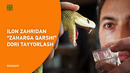 Ilon zahridan “ZAHARGA QARSHI” dori tayyorlash | @veritasium x @Xurmomedia
