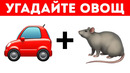 12 загадок, которые сможет разгадать только гуру