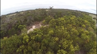 В Австралии орёл сбил летящий дрон