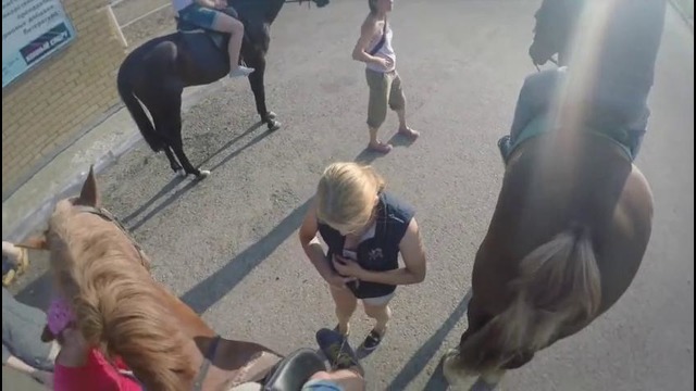 Травматический пейнтбол, окутал кобылу, езда верхом