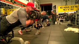 Easy Arm Workout at Gold’s Gym Venice