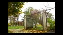 Пёс паркурщик