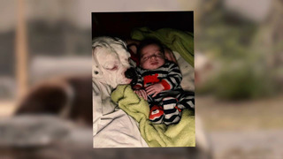Родители установили камеру в комнате малыша, чтобы узнать, почему он по утрам спит с собакои