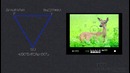 Видео урок 3, обучение фотографировать. Экспозиция. HD