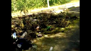 Проблема утилизации мусора в Ташкенте