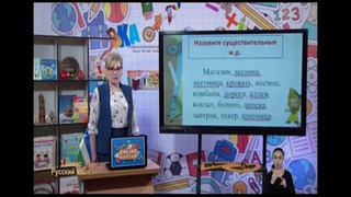 Русский язык 3 класс РУС (37)