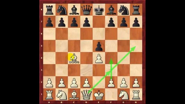 Шахматы для начинающих. Уроки шахмат. (d4-d5)