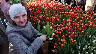 В Амстердаме раздали 200 000 тюльпанов