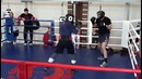 Федор Емельяненко Денис Лебедев спарринг бокс
