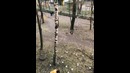 В честь свободы интернета