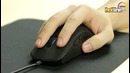 Обзор игровой мыши SteelSeries Rival