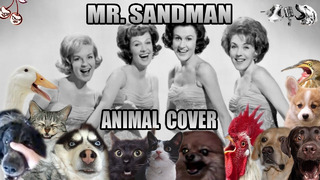 The Chordettes – Mr. Sandman (Animal Cover) [Only Animal Sounds]