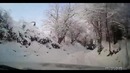Норм реакция