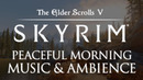 The Elder Scrolls Skyrim. Музыка и атмосфера. Инструментальные темы