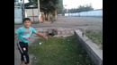 TALANT