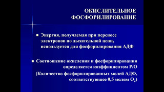 Окислительное фосфорилирование. Регуляция биологического окисления