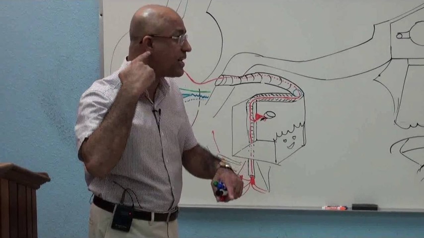 dr.najeeb neuroanatomy torrent