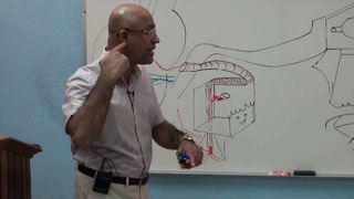 Facial Nerve – Neuroanatomy – Part 2⁄4 | Dr. Najeeb Lectures