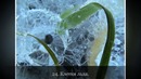 55 ледяных фото, которые доказывают, что природа — лучший художник