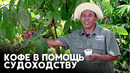 Как кофейные фермеры помогают сохранить судоходство на Панамском канале
