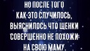 Собака родила странных щенков и удивила всех