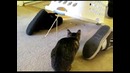 Ловушка для кота