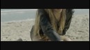 Tchami – After Life Feat. Stacy Barthe (Official Video)