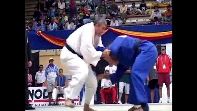 Old Judo Vine