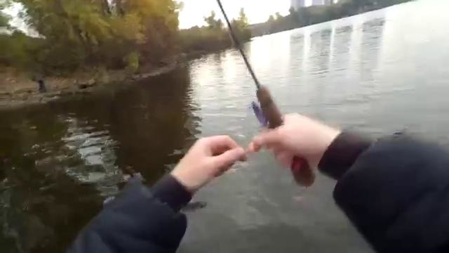 Рыбалка на хищника