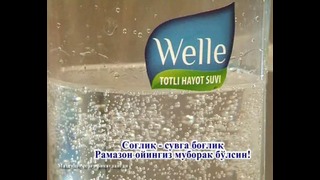 Welle