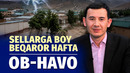 Kuchli shamol, do‘l va yashin – hafta havosi qanday keladi