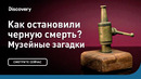 Как остановили черную смерть? | Музейные загадки | Discovery