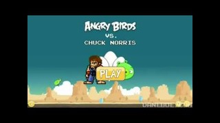 Chuck Norris vs Angry Birds