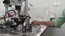 Новое средство от комаров с большим радиусом действия разработали в Израиле