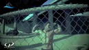 Грег плитт (greg plitt) – c-block. 1 серия (nordfjord)