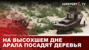 На высохшем дне Арала посадят деревья