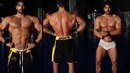 Best Aesthetic Natural Bodybuilders 2015