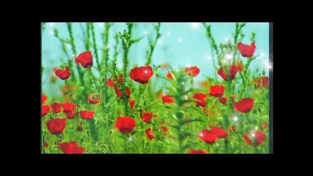 Go`zal Toshkent